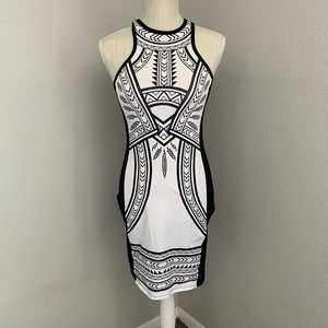 Express Bodycon dress